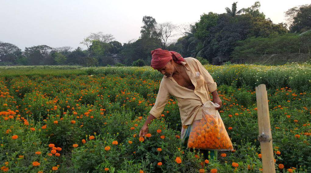 Sabdi Village in Narayanganj Bandar