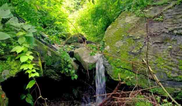 Patang Jhiri Waterfalls