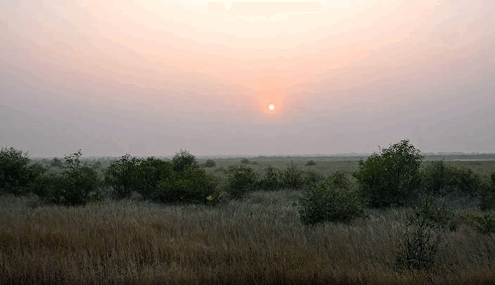 Bangabandhu Island