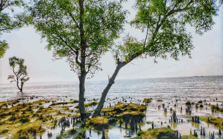 Guliakhali Sea Beach