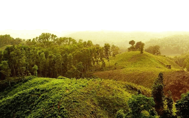 Lauchapra Picnic Spot