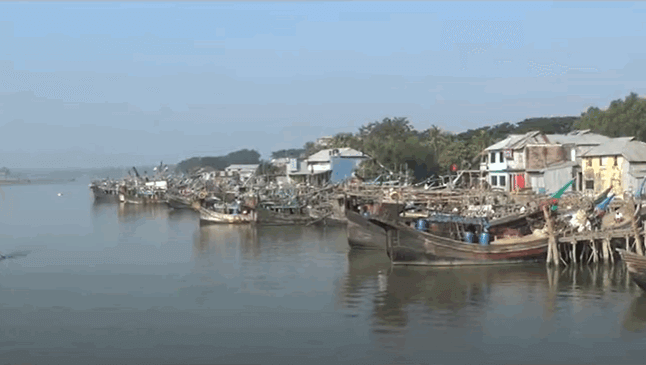 Alipur Fish Market