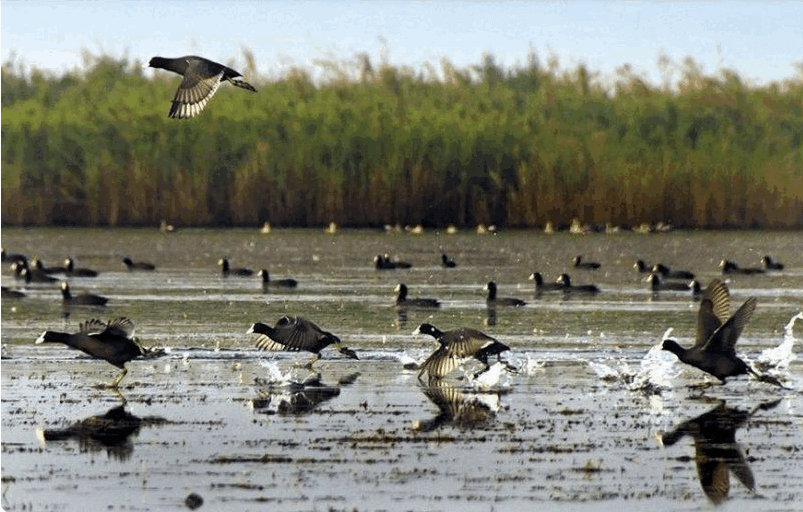 Baikka Beel