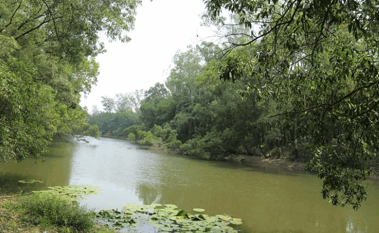 Bhawal National Park