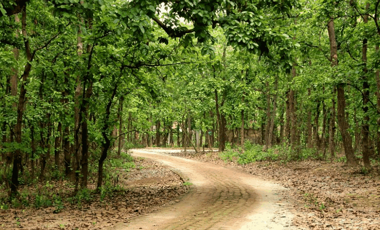 Bhawal National Park
