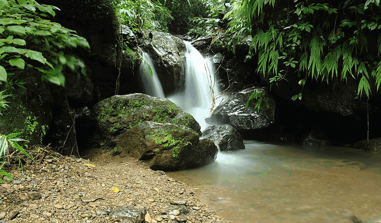 Chingri Waterfall