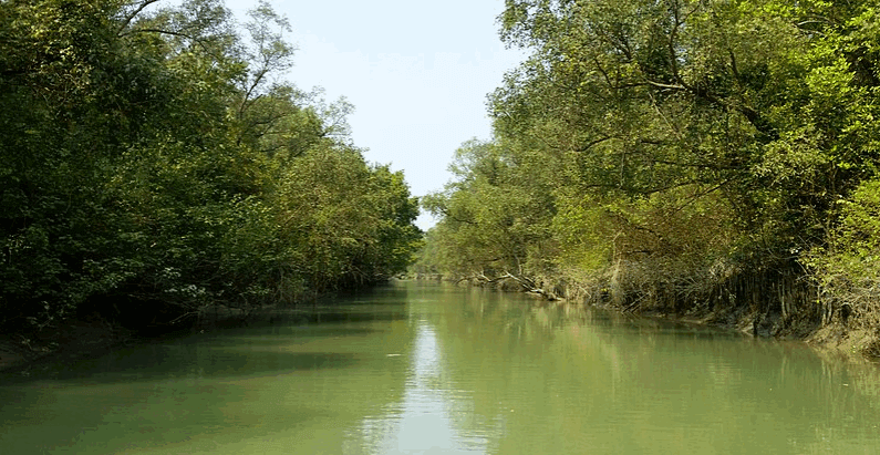 Chor Kukri Mukri