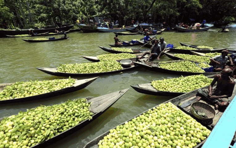 Floating Guava Market