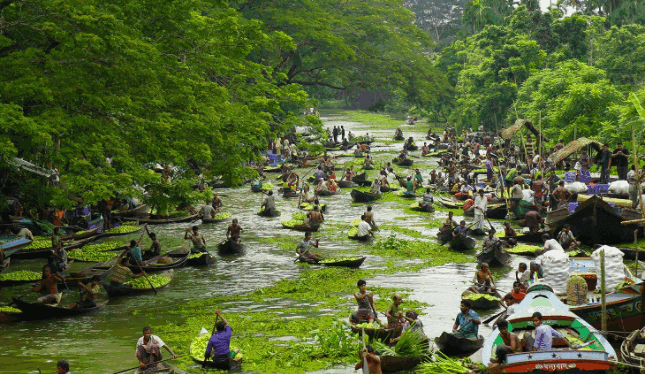 Floating Guava Market