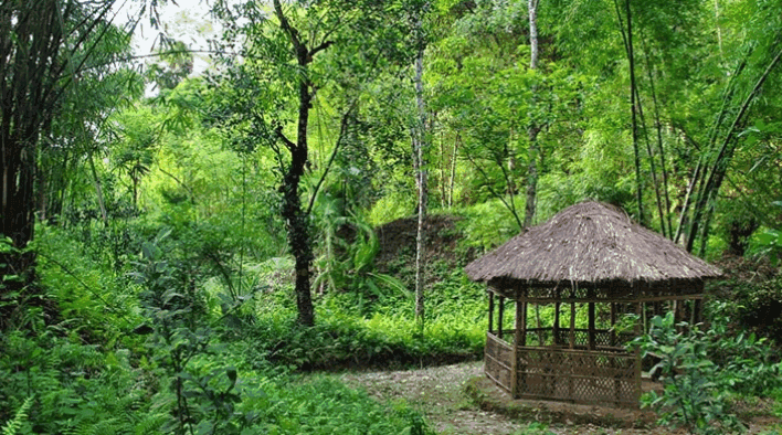 Khadimnagar National Park