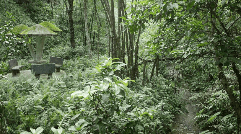 Khadimnagar National Park