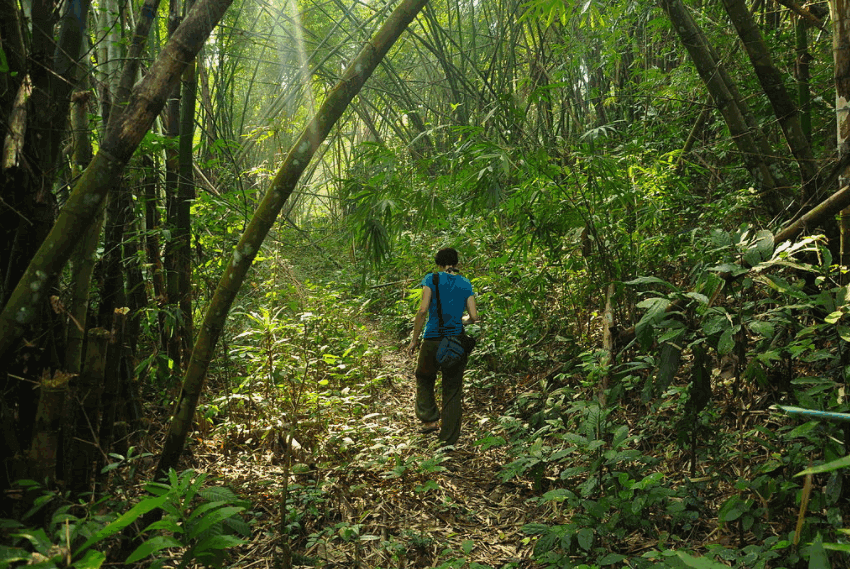 Lawachara Eco Park