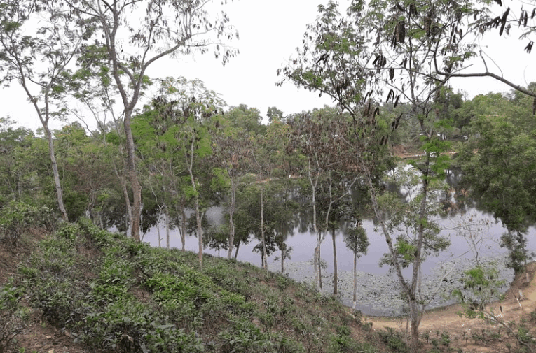 Madhabpur Lake 