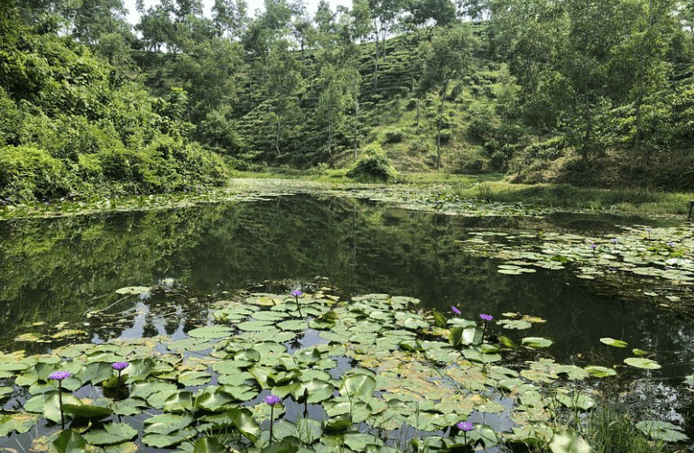 Madhabpur Lake 
