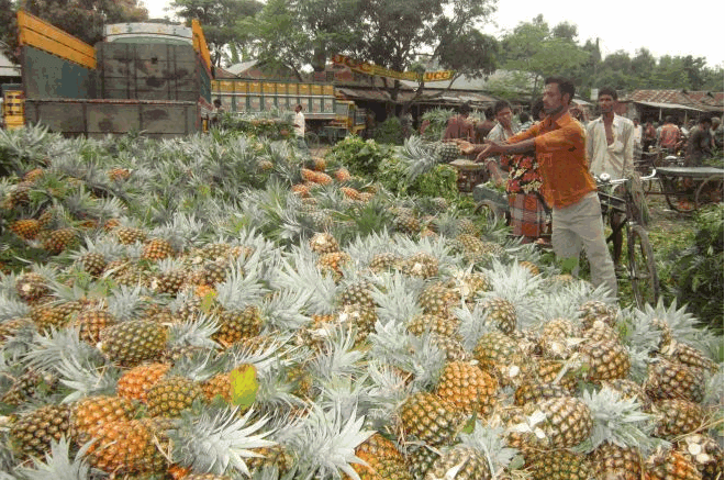 Pineapple Bazaar