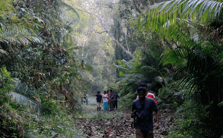 Rema Kalenga Reserved Forest