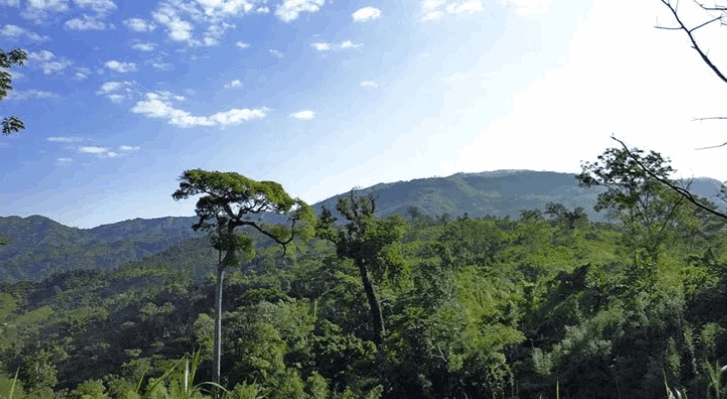 Saka Haphong Mountain