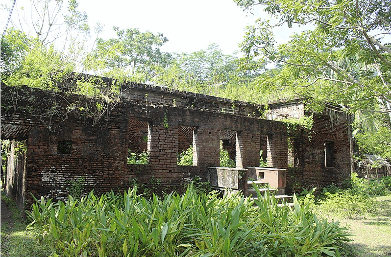 Saturia Zamidar Bari