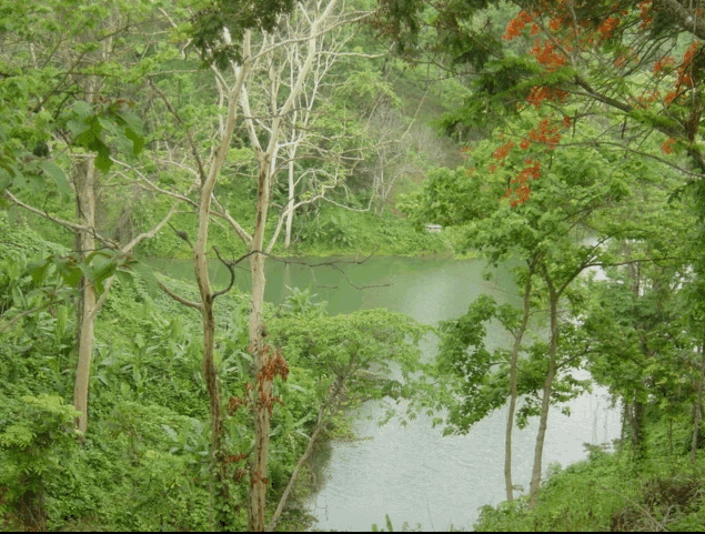 Meghla