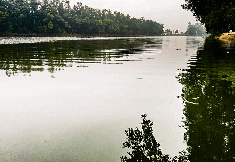 Alta Dighi