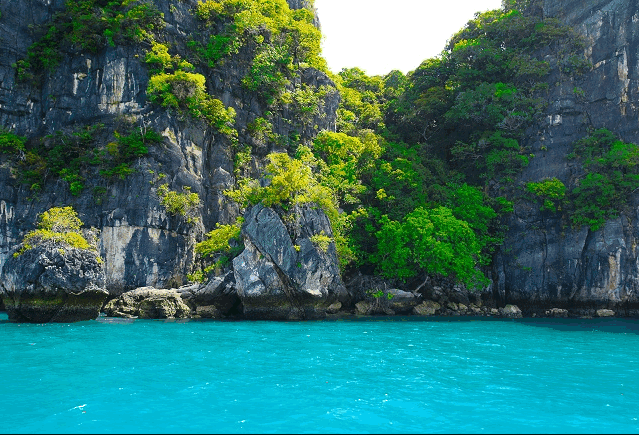 Koh Hong