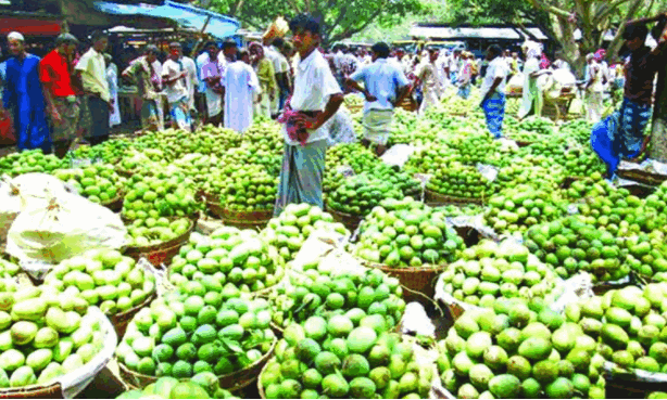 Kanshat Mango Market