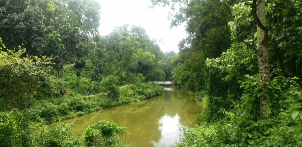 Modhutila Eco Park
