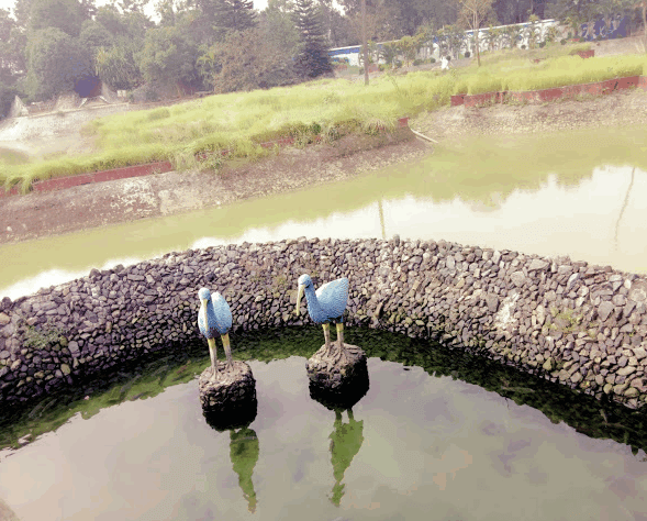 Shopnopuri Picnic Spot